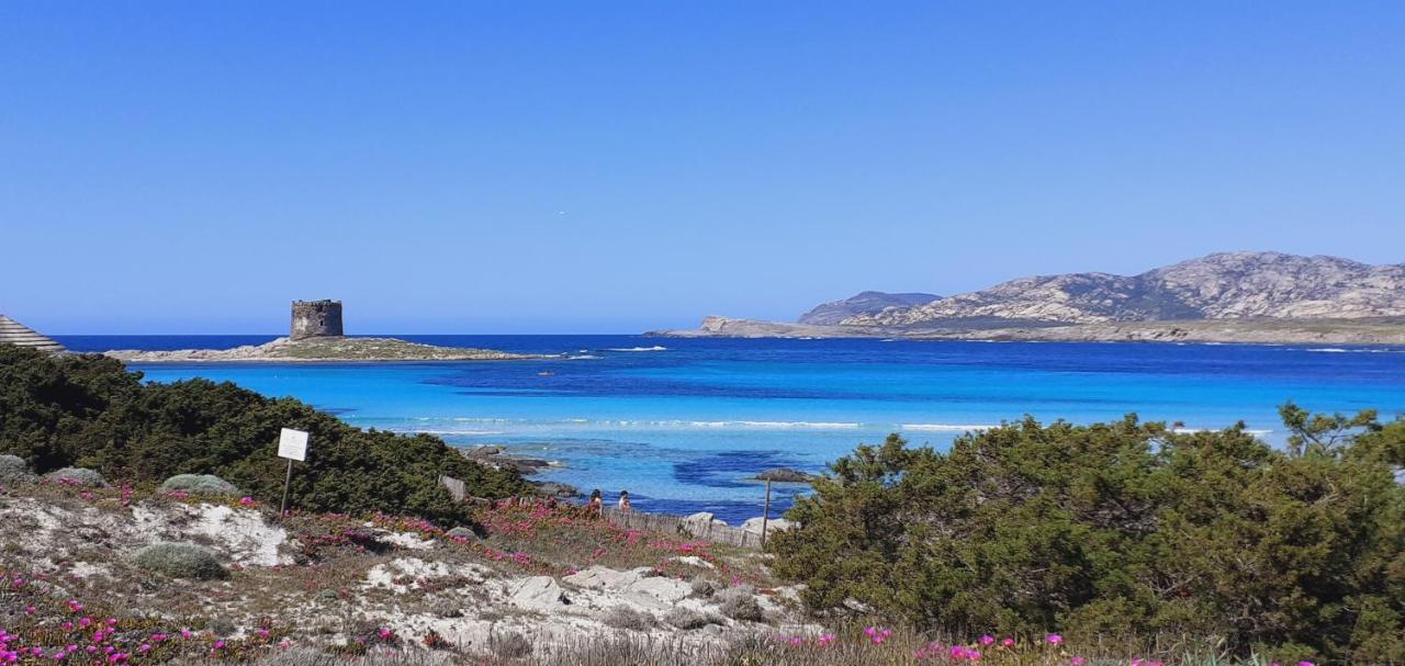 B&B Giomar Sardegna Nord Ovest Campanedda Exterior photo